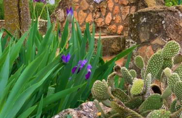 Torcales del Lobo Apartamentos Rurales - Foto 27