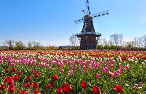 Modern 2BR 2BA New Build Condo with Garage & Patio - Foto 1