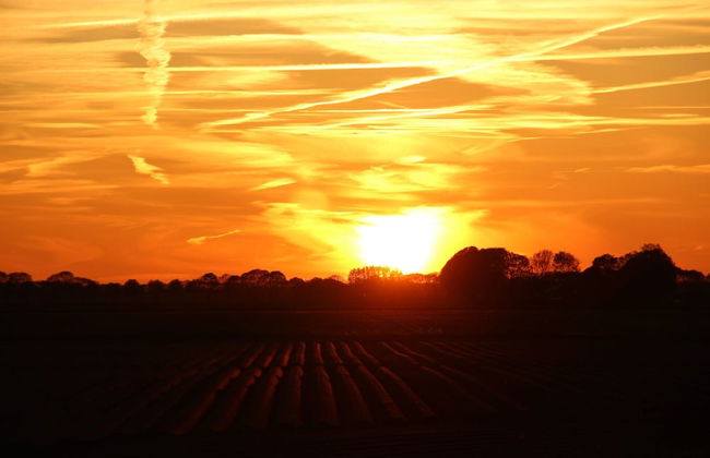 Cozy Vacation Home With Terrace - Photo 29