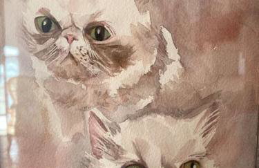 Chez Sigmund et Skywalker - Photo 7