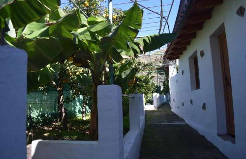 Casa Camino Tamadaba - Foto 40