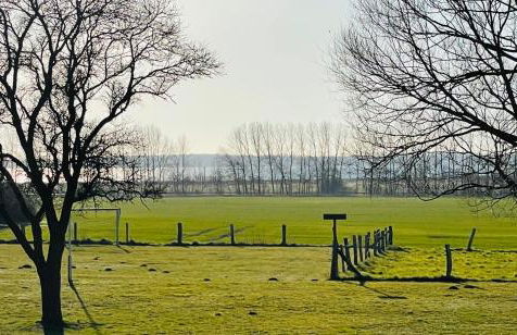 Ferienresidenz am Salzhaff - Foto 34