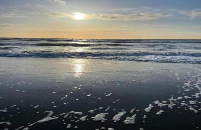 Peaceful Dune Retreat With Garden - Foto 26