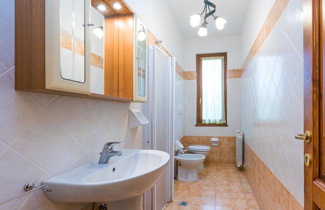 Rosa+Margherita+Lavanda+Ginestra+Gelsomi - Foto 16