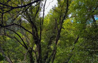 Quinta São José - Museu do Triciclo - Photo 55