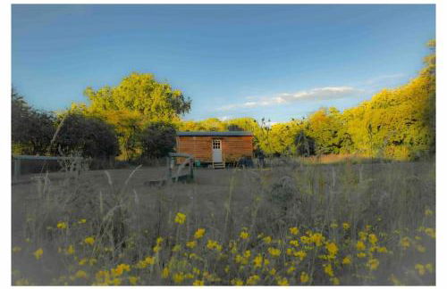 Mountbatten Shepherds hut & Buckhurst Shepherds hut - Foto 70