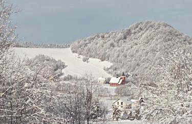 Raj pod lasem - Foto 37