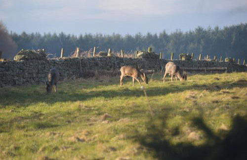 Middlehead Cottages - Foto 17