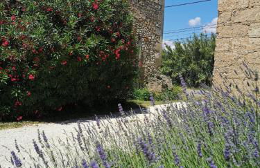 Mas de Férigoulet -"La Rose des Vents"& Univers enfants "Lou Pitchoun" - Foto 21