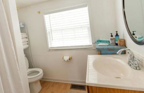 Secluded Lakefront Cabin with Private Dock on Lake Nantahala, Topton, North Carolina - Foto 23