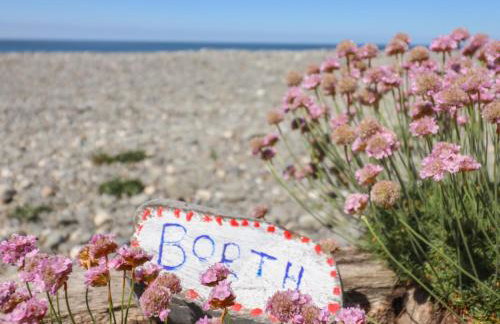 Glan Y Mor Borth - Photo 21