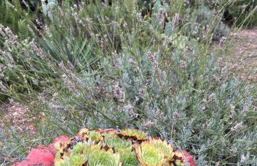 Apartman Ruža - Photo 54