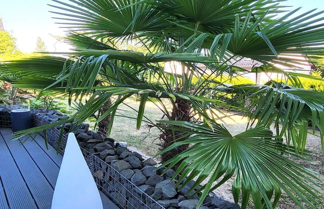 Regal Apartment in Pracht With Garden and Grill - Foto 22