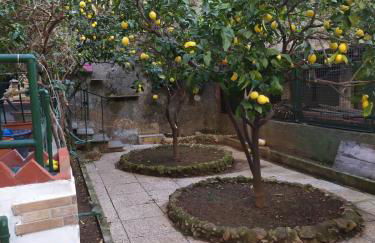 oparavisegenova - Foto 1