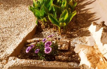 Nymphes Apartments - Foto 7