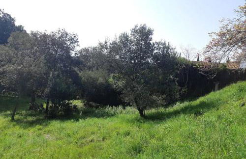 ESTUDIO RENOVADO CON BALCON PRIVADO Y COCINA vistas al mar TAMARIU y BEGUR - Foto 36