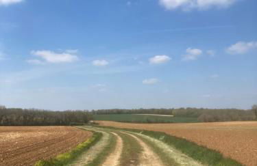 Rustic cottage with stunning swimming pool - Foto 30