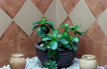 La Plazuela, casa andaluza con patio. - Foto 22