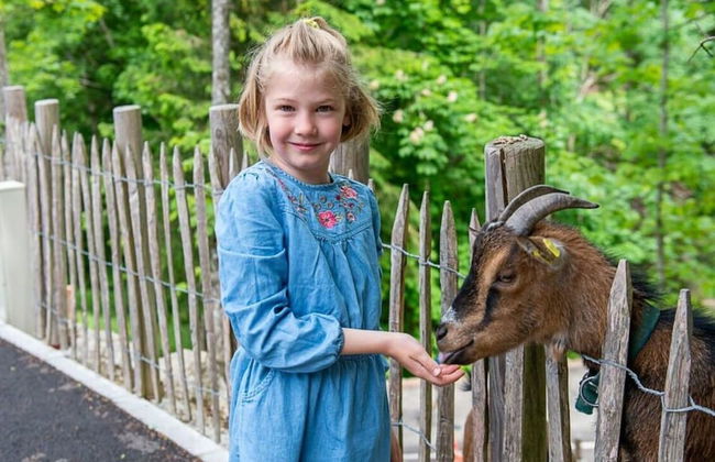 Infanglalm "traunsee" - Foto 24