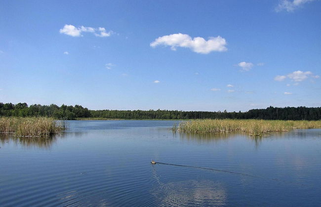 Holiday Home by Lake Wilkasy With Rowboat - Foto 28