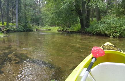 Domek w polu - Foto 54