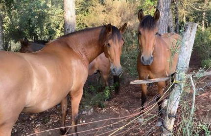 Bacom Apartment - Foto 19