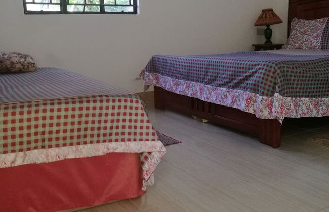 In-Africa Stay - Foto 4