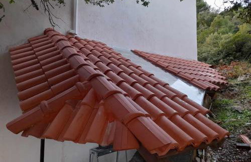 Forest View House Seta - Photo 2