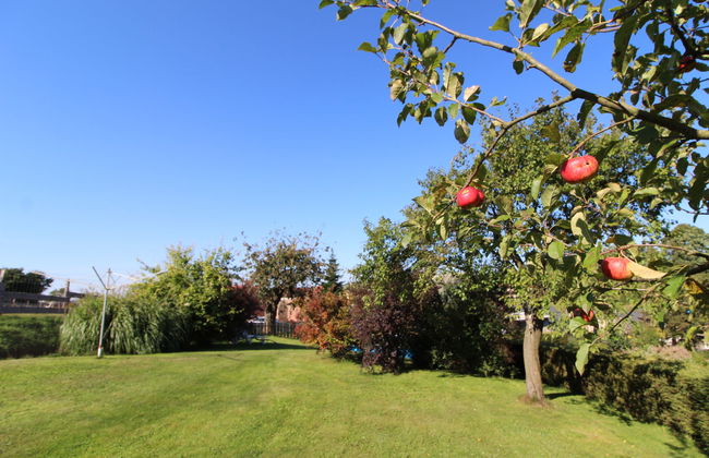 Červený Kostelec - Foto 27