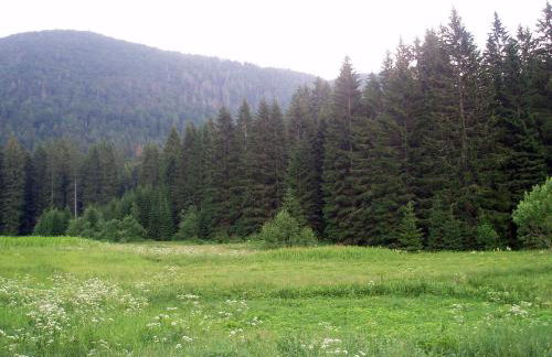 Chalet Sanjam Liku - Photo 26