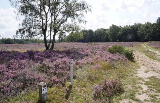 Peaceful Holiday Home in Lemele - Photo 35