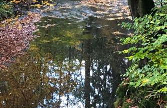 Apartment Gartenblick by Interhome - Foto 29