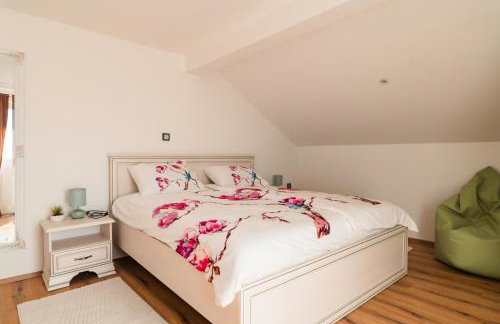 Villa Sole-kuća za odmor u Međimurju-Dragoslavec - Foto 30