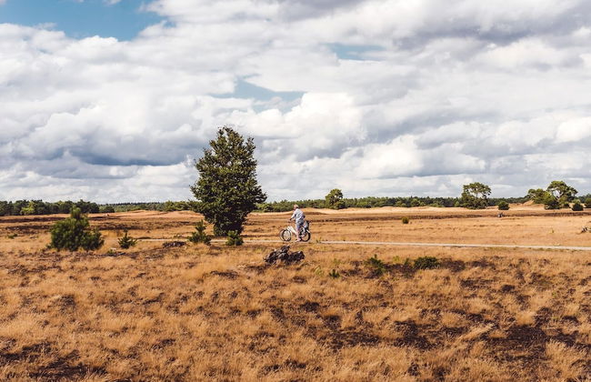 Private Chalet in the Woods - Photo 24