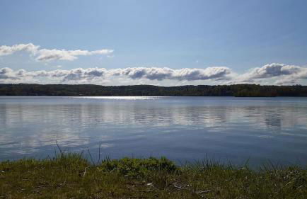 13-Min Jiminy, Fave, Hot Tub, Lg Open LR, Family - Foto 40