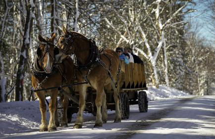 Experience the Rocks Estate like never before with a stay at the Gardeners Cottage! - Foto 44