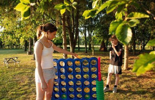 Luxury Chestnut Lodge with Hot Tub and Games Room - Foto 26