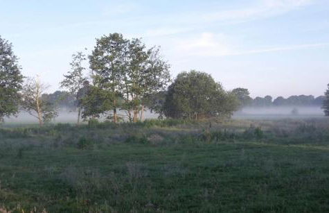 Ferienhaus Tiny Löwenzahn - Foto 20