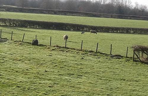 The Orchards - Foto 12