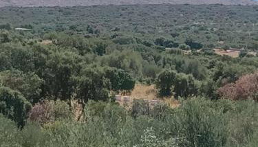 Πετροχτιστο Ρηνιω - Foto 4