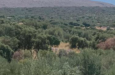 Πετροχτιστο Ρηνιω - Foto 4