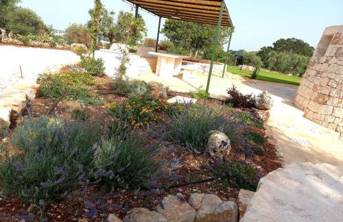 Il nido delle rondini - Foto 39