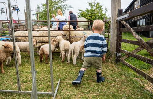 Crabtree Farm - South Stable - Foto 29