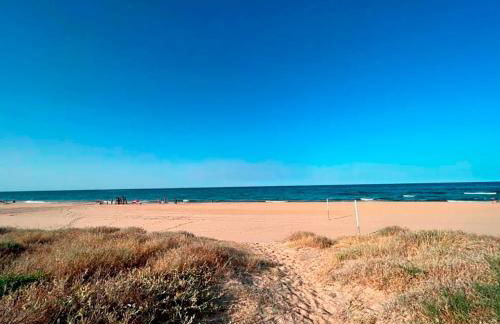 Sanchis Guarner Bajo Solo Familias Serviplaya - Foto 40