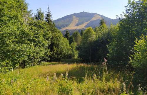 Apratmán Julie – Bavorská Ruda - Foto 50