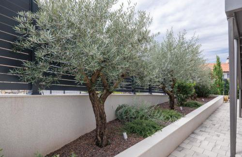 Lulani Soline Pool Apartment - Photo 10