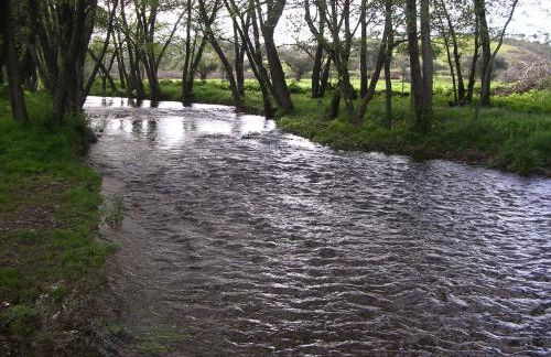 Casa Rural Sierra San Mamede - Foto 40