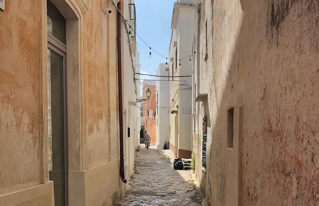 2239 Salento Sunset - Foto 27