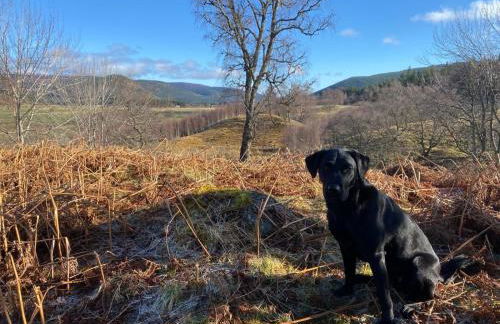 Crofts Mill - Foto 19