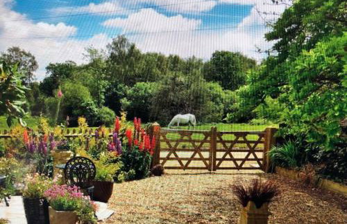 Ramblers, Burley, New Forest - Photo 8